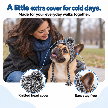 Cozy Winter Dog Beanie